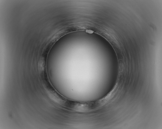 X0000111370174200907101218