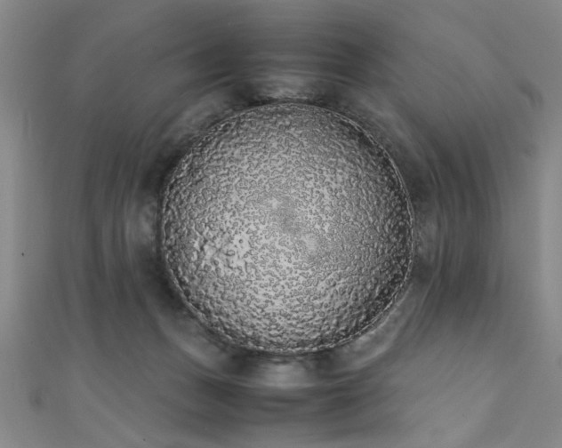 X0000111370175200907101219