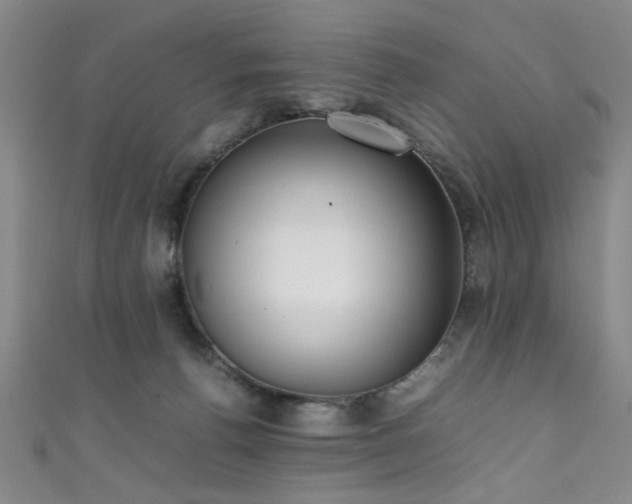 X0000111370176200907101219