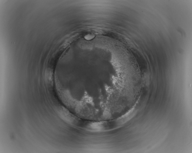 X0000111370178200907101219