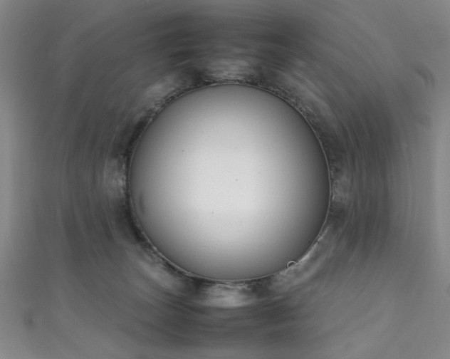 X0000111370179200907101219