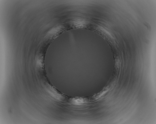 X0000111370181200907101219