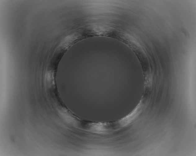 X0000111370182200907101219