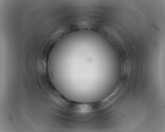 X0000111370183200907101219