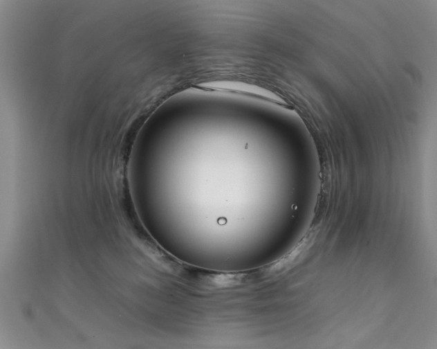 X0000111370184200907101219