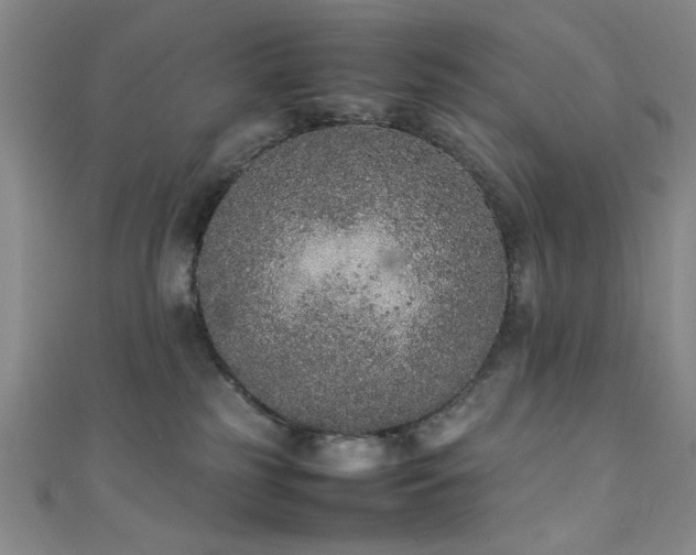 X0000111370185200907101219