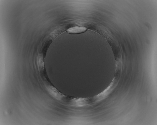 X0000111370186200907101219