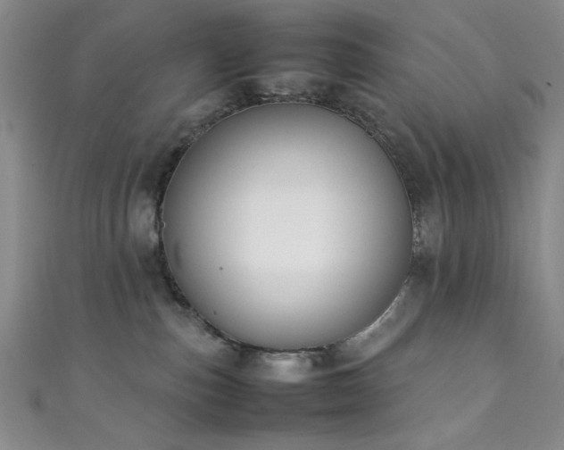 X0000111370187200907101219