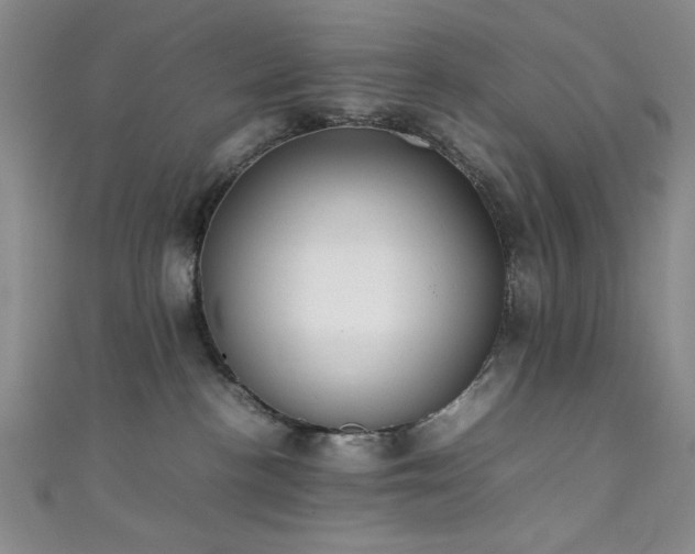 X0000111370188200907101219