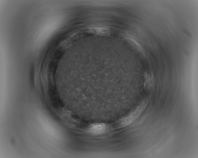 X0000111370189200907101219