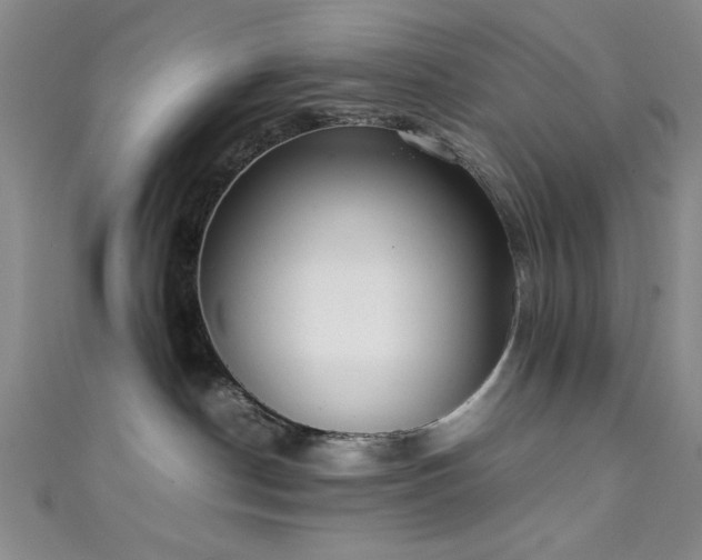 X0000111370190200907101219