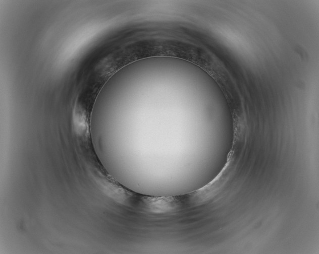 X0000111370191200907101219