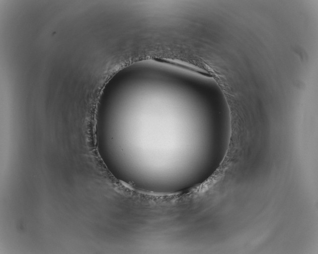 X0000111370192200907101219