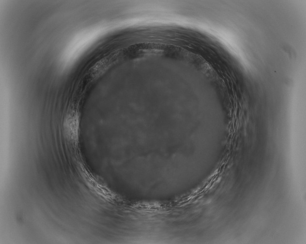 X0000111370194200907101218