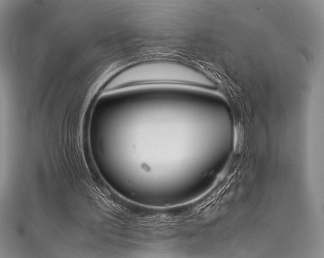 X0000111370195200907101218