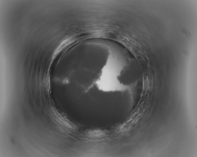 X0000111370198200907101218