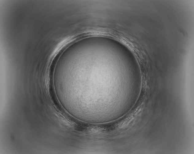 X0000111370199200907101218