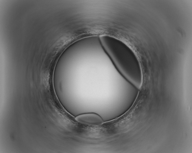 X0000111370201200907101218