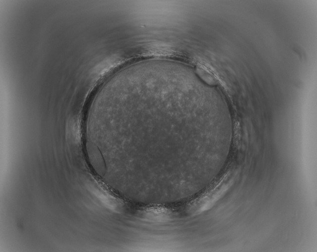 X0000111370203200907101218