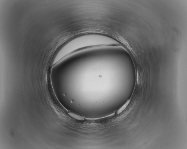 X0000111370205200907101218