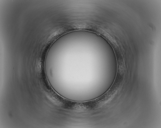 X0000111370207200907101218