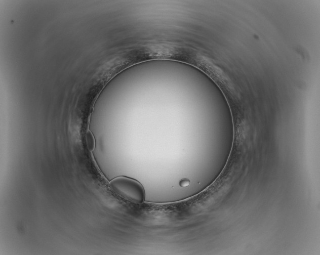 X0000111370209200907101218