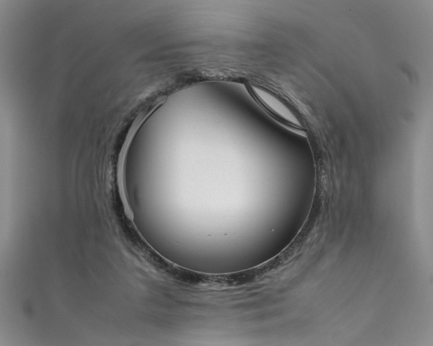 X0000111370211200907101218