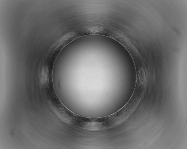 X0000111370212200907101218