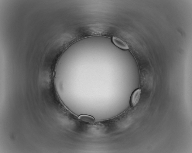 X0000111370215200907101218