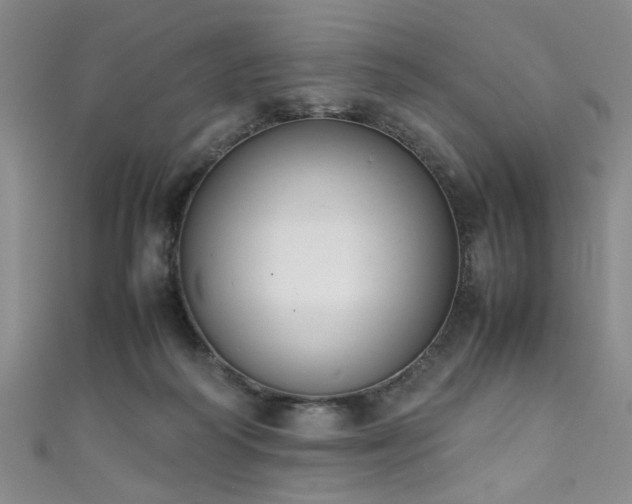 X0000111370218200907101218