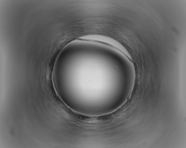 X0000111370219200907101218
