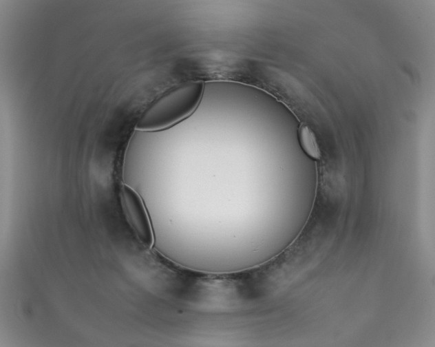X0000111370221200907101218