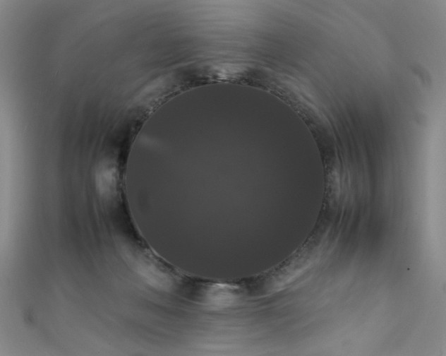 X0000111370222200907101218