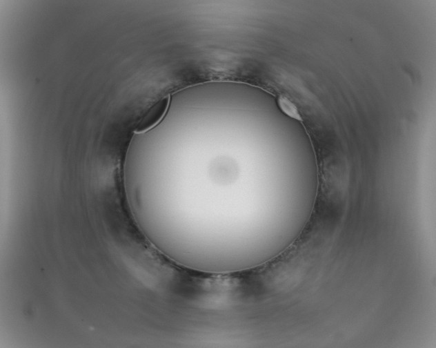 X0000111370225200907101218
