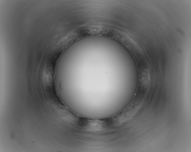 X0000111370226200907101218