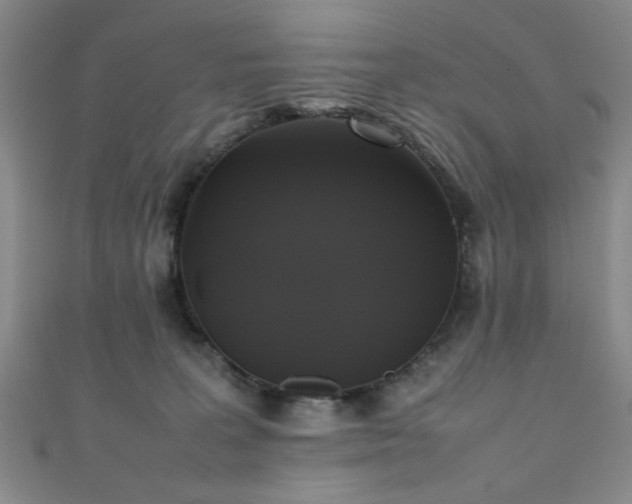 X0000111370227200907101218