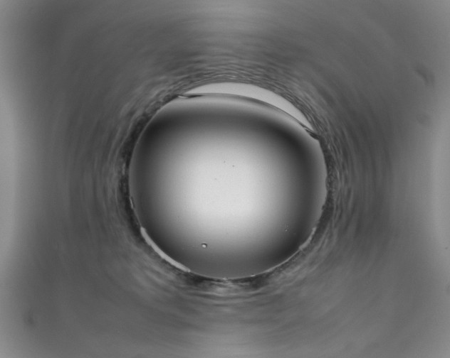 X0000111370229200907101218