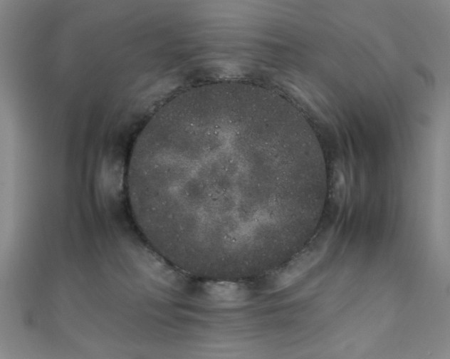 X0000111370230200907101218