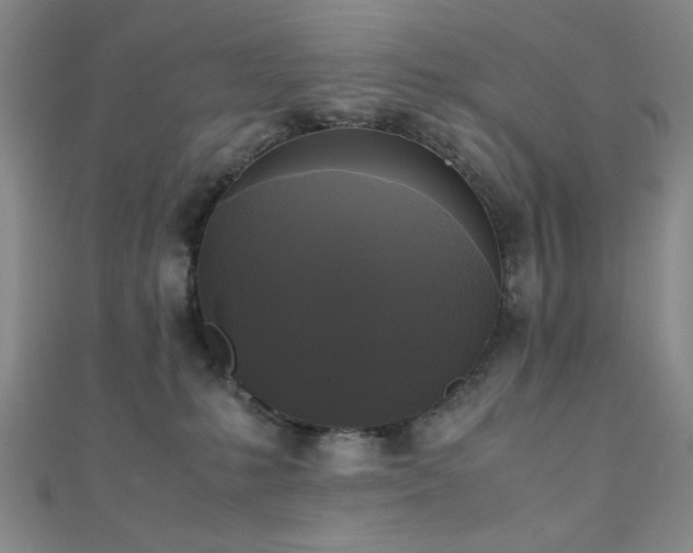 X0000111370231200907101218