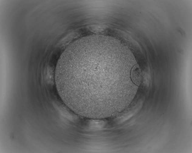 X0000111370234200907101218