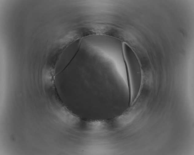 X0000111370237200907101218