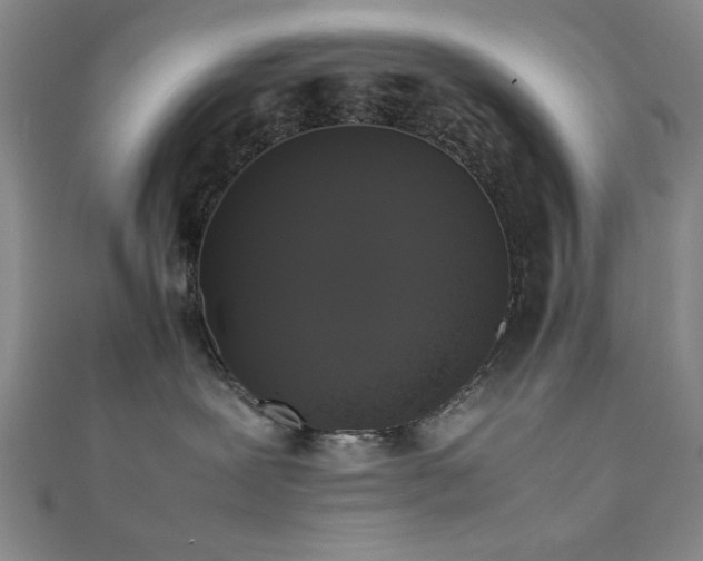 X0000111370239200907101218