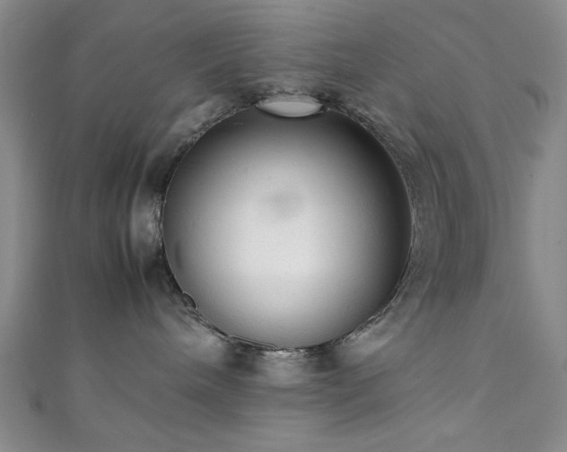 X0000111370240200907101218