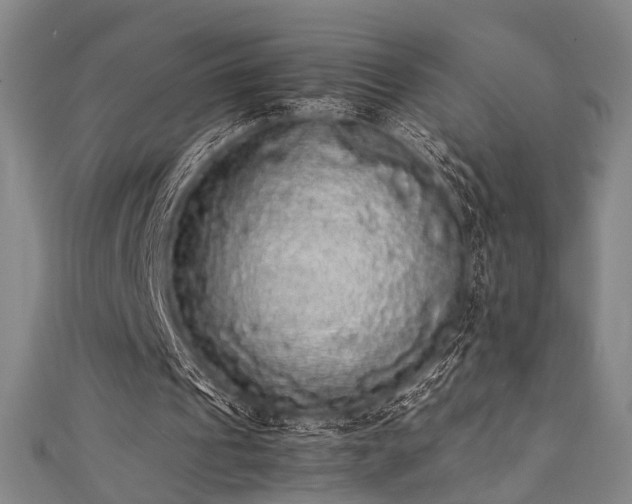 X0000111370241200907101217