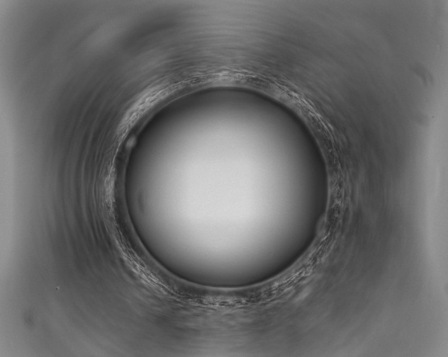 X0000111370242200907101217