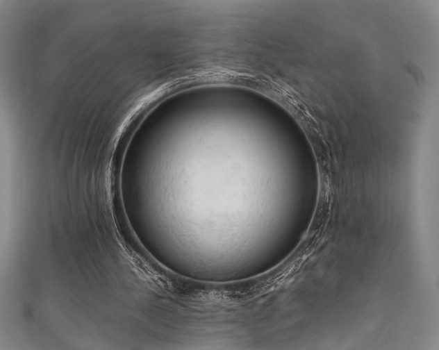 X0000111370244200907101217