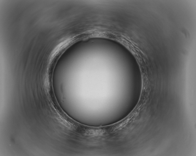 X0000111370245200907101217