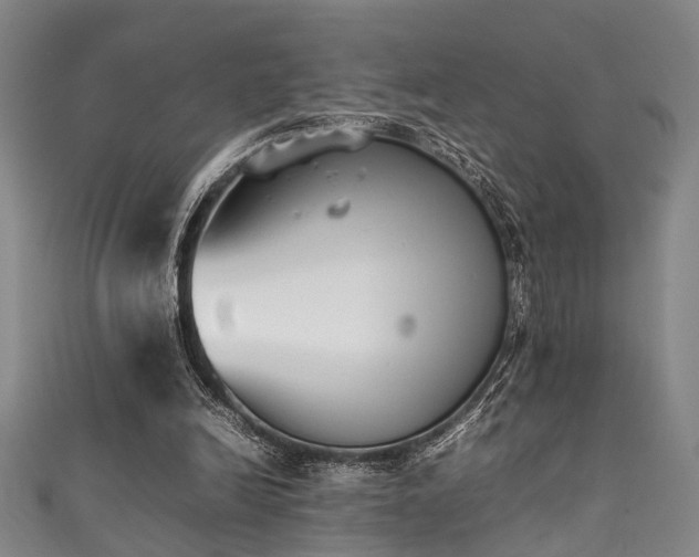 X0000111370246200907101217