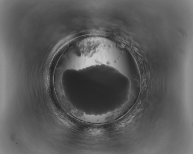 X0000111370247200907101217