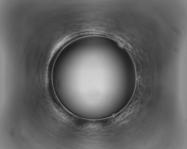 X0000111370248200907101217